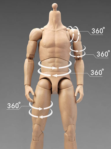 Pre-order 1/6 Alert Line Toys Slim Shoulder Male Body AL100045 / AL100046