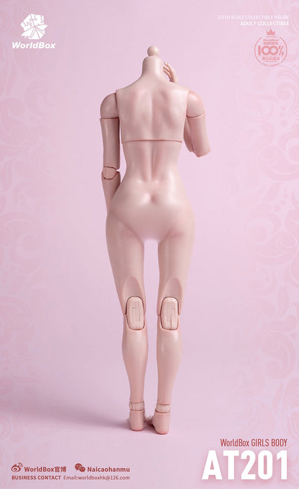 In-stock 1/6 Worldbox AT201 Standard Female Body