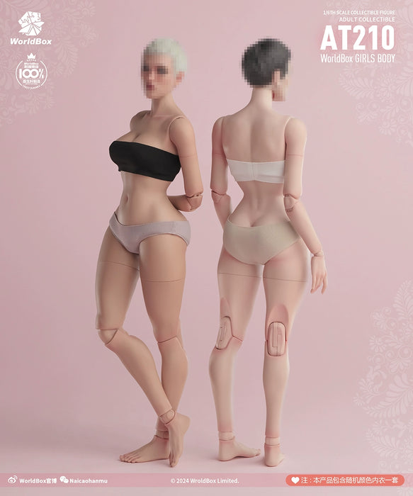 In-stock 1/6 WORLDBOX AT210 Hourglass Figure Female Body