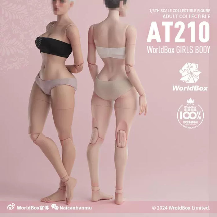 In-stock 1/6 WORLDBOX AT210 Hourglass Figure Female Body