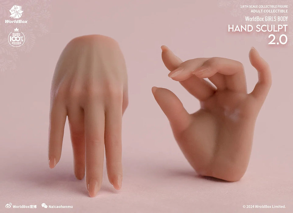 In-stock 1/6 Worldbox AT209 Hand Sculpt Set