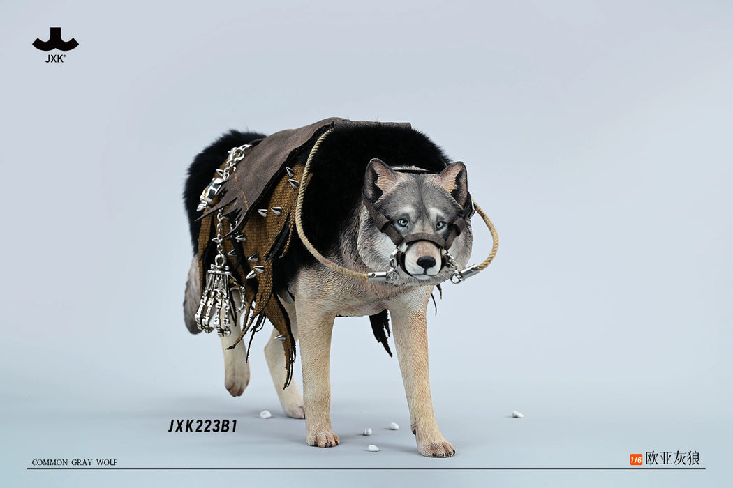 In-stock 1/6 JXK Studio JXK223A Common Gray wolf