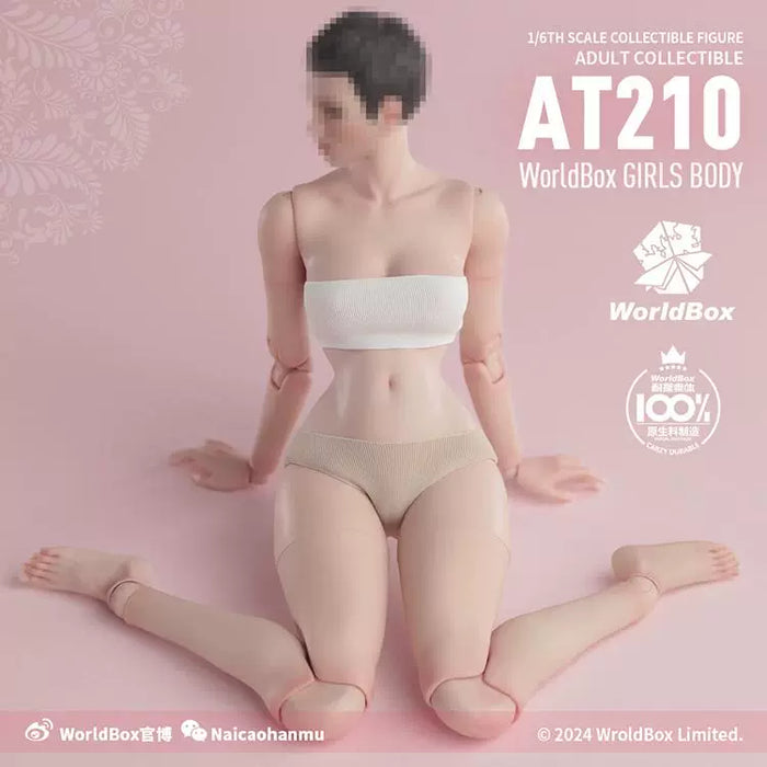 In-stock 1/6 WORLDBOX AT210 Hourglass Figure Female Body