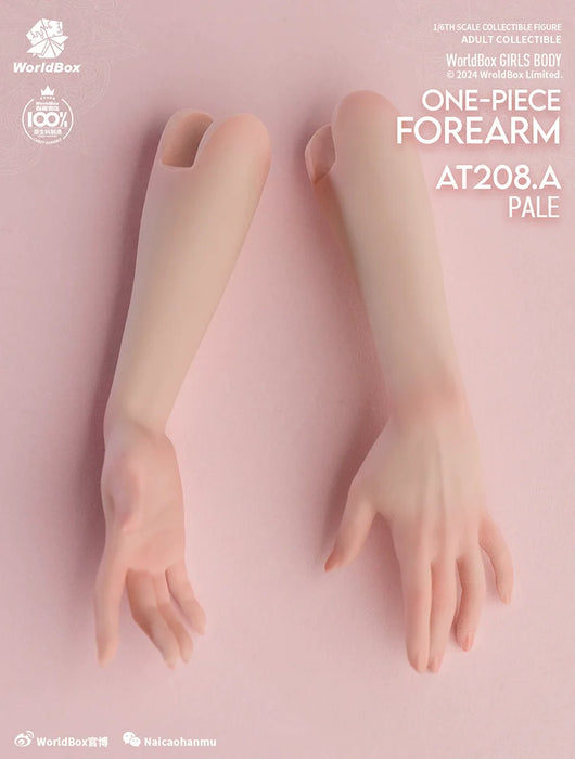 In-stock 1/6 Worldbox AT208 Hand Sculpt Set