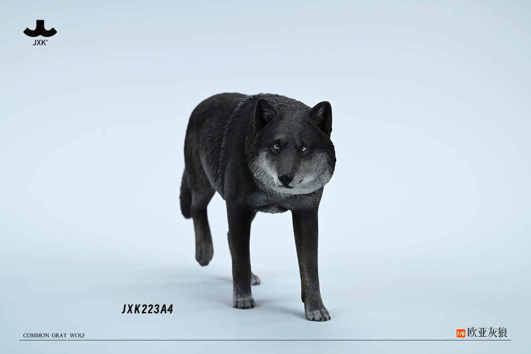 In-stock 1/6 JXK Studio JXK223A Common Gray wolf