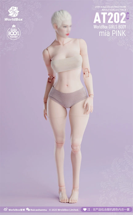 Pre-order 1/6 WORLD BOX AT202Pro Female Body