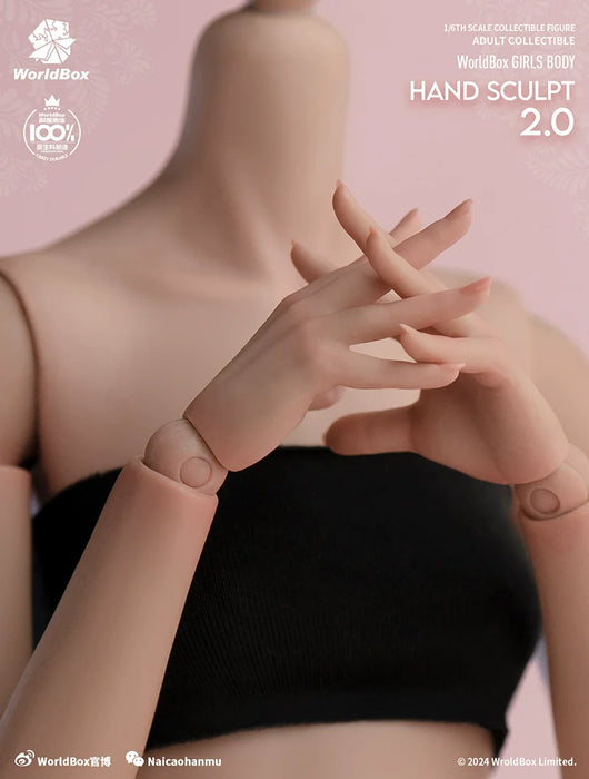 In-stock 1/6 Worldbox AT209 Hand Sculpt Set