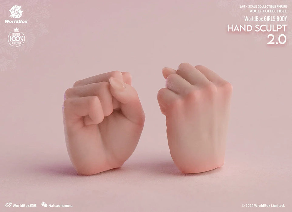 In-stock 1/6 Worldbox AT209 Hand Sculpt Set