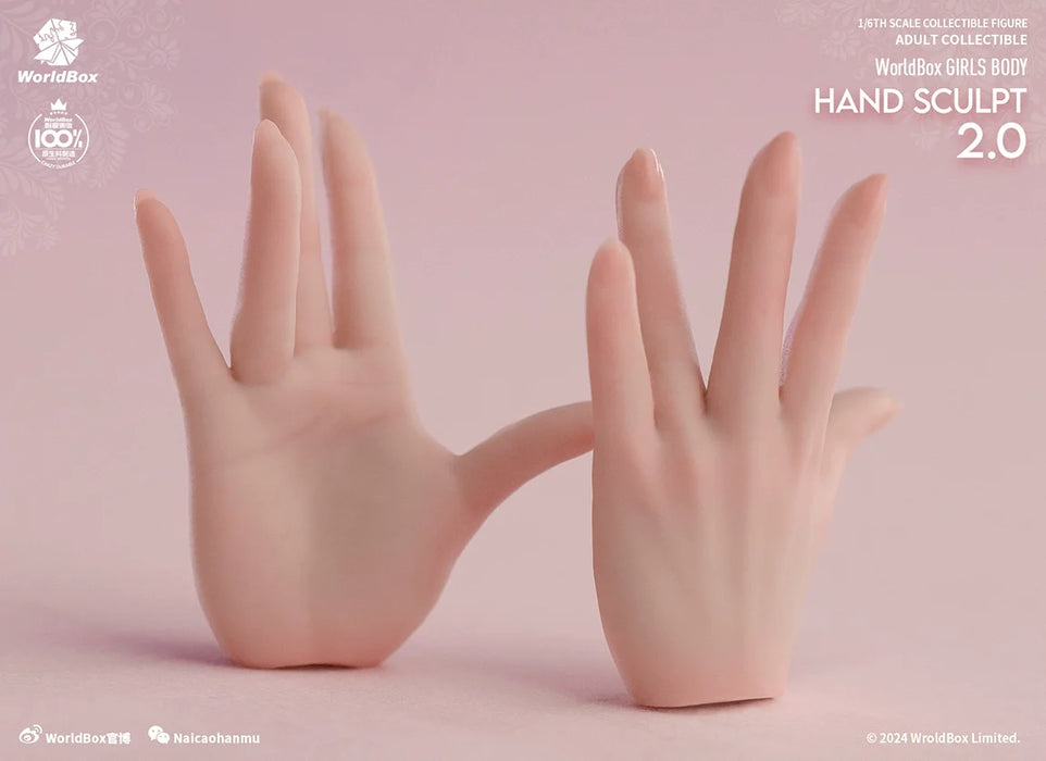 In-stock 1/6 Worldbox AT209 Hand Sculpt Set