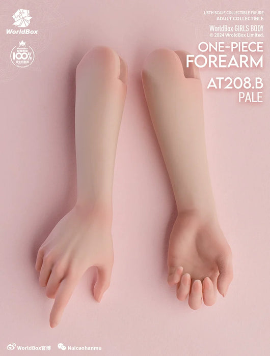 In-stock 1/6 Worldbox AT208 Hand Sculpt Set