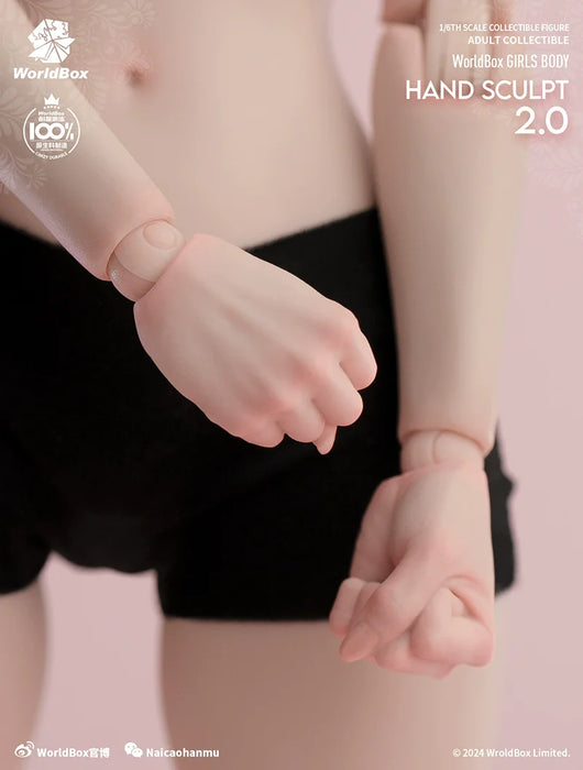 In-stock 1/6 Worldbox AT209 Hand Sculpt Set