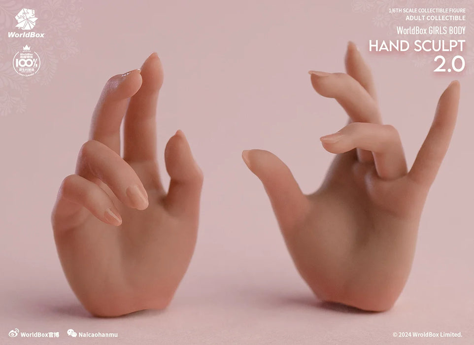 In-stock 1/6 Worldbox AT209 Hand Sculpt Set