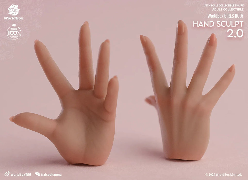 In-stock 1/6 Worldbox AT209 Hand Sculpt Set