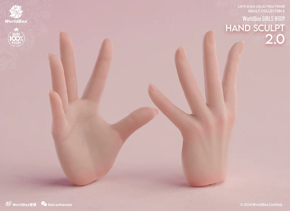 In-stock 1/6 Worldbox AT209 Hand Sculpt Set