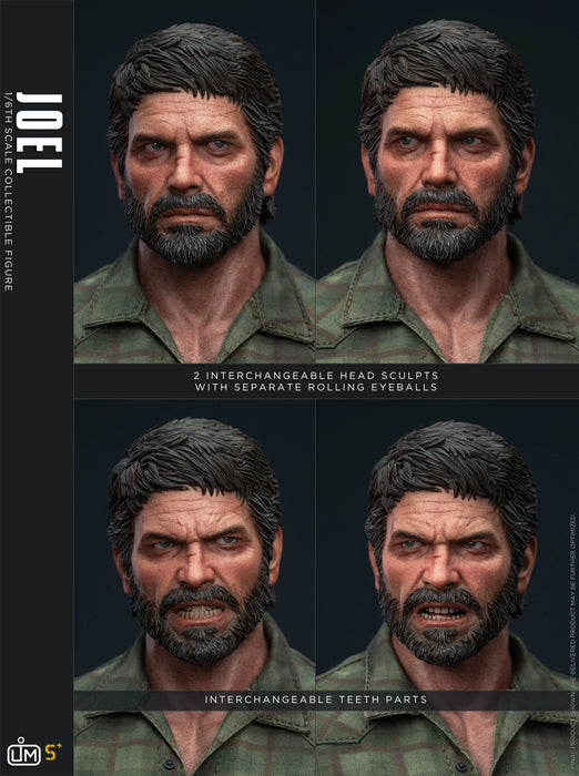 Pre-order 1/6 LIMTOYS LS+01 Joel Action Figure