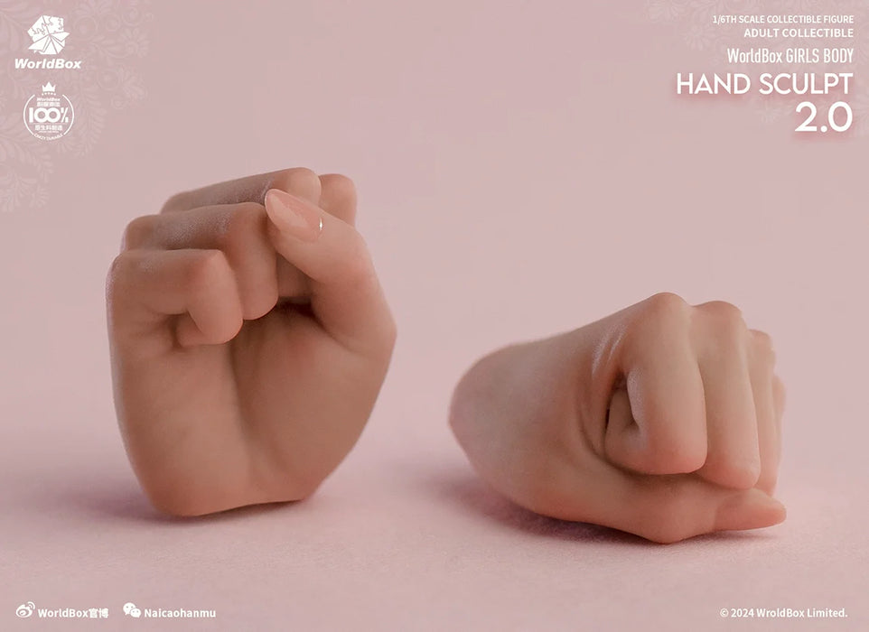 In-stock 1/6 Worldbox AT209 Hand Sculpt Set