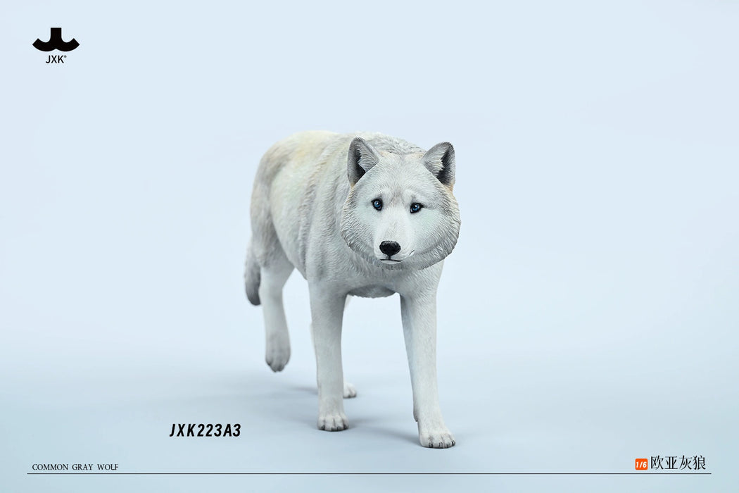 In-stock 1/6 JXK Studio JXK223A Common Gray wolf