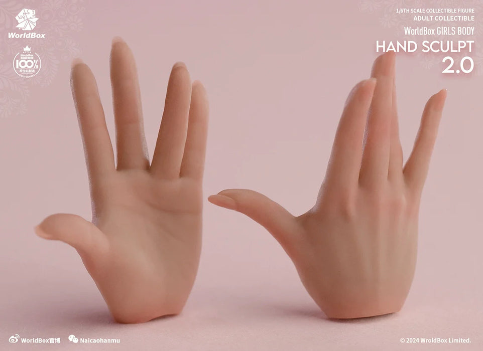 In-stock 1/6 Worldbox AT209 Hand Sculpt Set