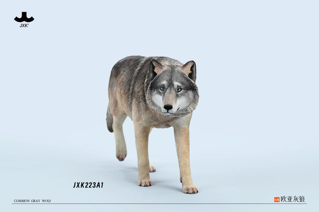 In-stock 1/6 JXK Studio JXK223A Common Gray wolf