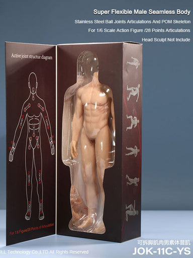 In-stock 1/6 JIAOU DOLL Seamless Male Body 11C Muscular Series (No biological details)