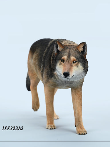 In-stock 1/6 JXK Studio JXK223A Common Gray wolf