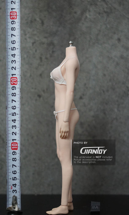 In-stock 1/6 TBLeague Phicen Standard Mid-bust S18A S19B Seamless Female Body (Censored)