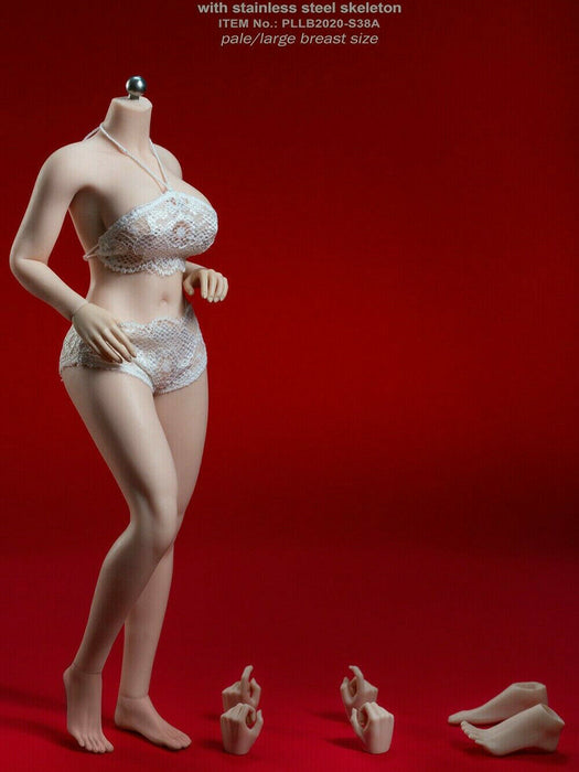 In-stock 1/6 TBLeague PLLB2020-S38A PLLB2020-S39A Plus Size Body (Censored)