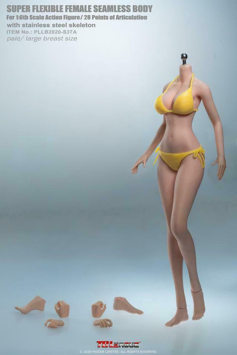 In-stock 1/6 TBLeague Anime Girls S36A S37A Hour-glass Large-Bust Seamless Body (Censored)