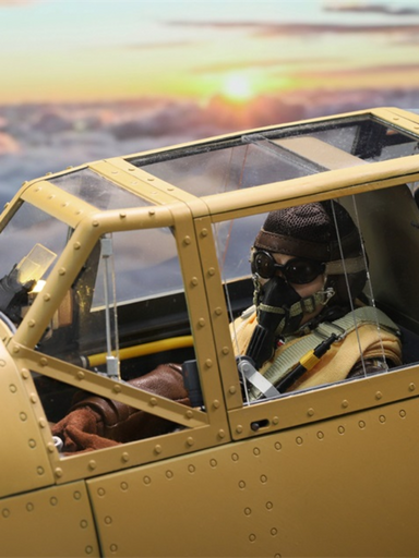 In-stock 1/6 DID WWII BF109 Cockpit E60065B