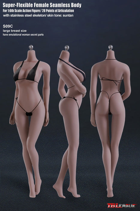 In-stock 1/6 TBLeague Phicen Standard S07C S09C Large Bust Seamless Body (Censored)