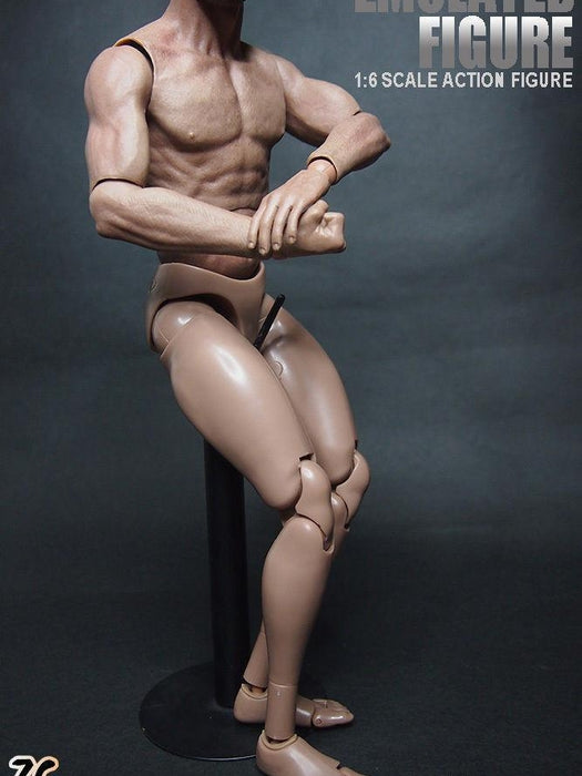 1/6 Scale ZC Toys 12" Emulated Muscular Figure Body 1.0 Version