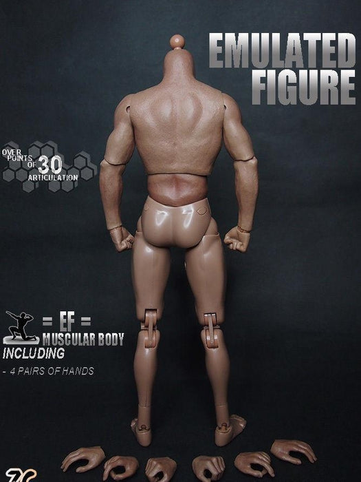 1/6 Scale ZC Toys 12" Emulated Muscular Figure Body 1.0 Version