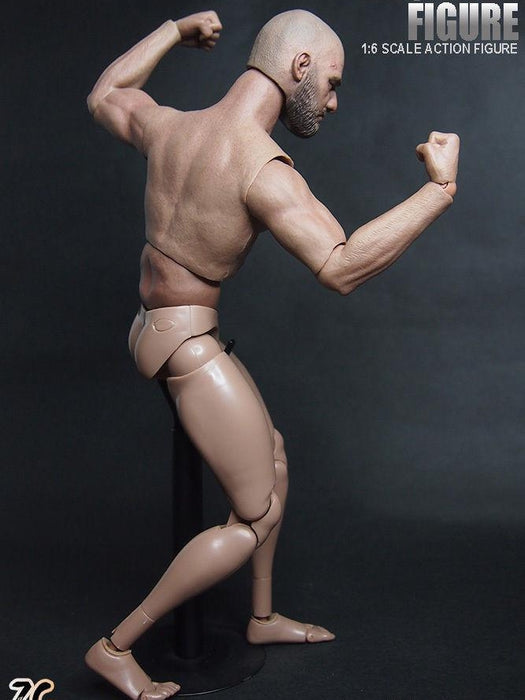 1/6 Scale ZC Toys 12" Emulated Muscular Figure Body 1.0 Version