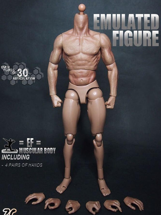 1/6 Scale ZC Toys 12" Emulated Muscular Figure Body 1.0 Version