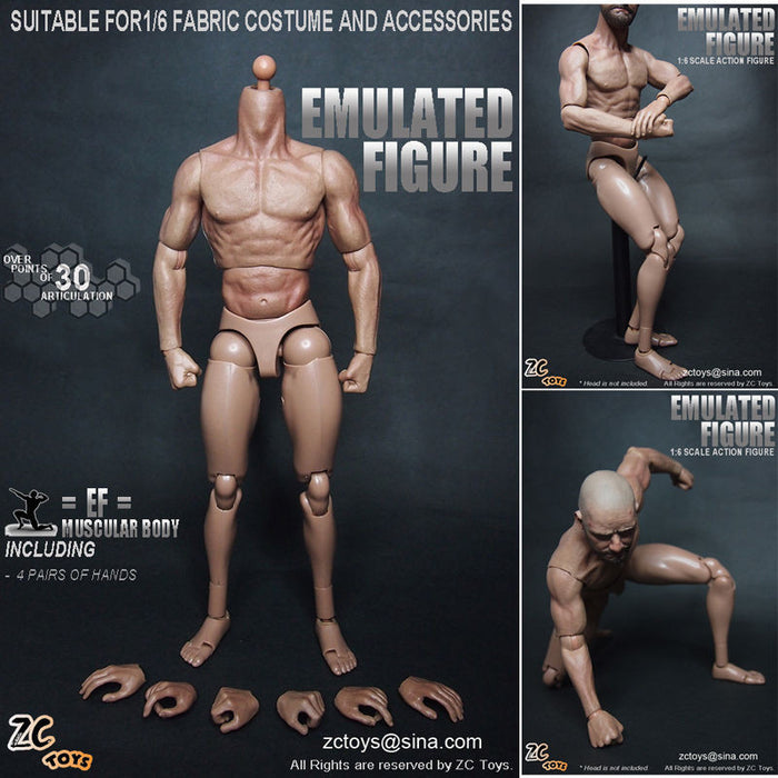 1/6 Scale ZC Toys 12" Emulated Muscular Figure Body 1.0 Version