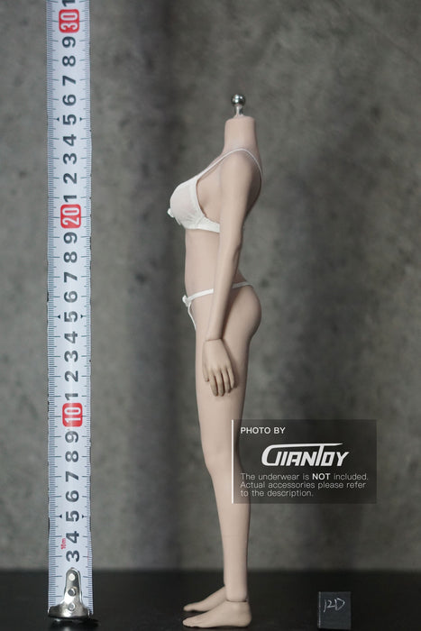 In-stock 1/6 TBLeague Phicen Standard Large Bust S10D S12D Seamless Female Body (Censored)
