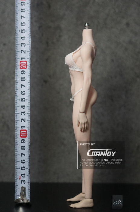 In-stock 1/6 TBLeague Phicen European Athlete S22A S23B Seamless Body