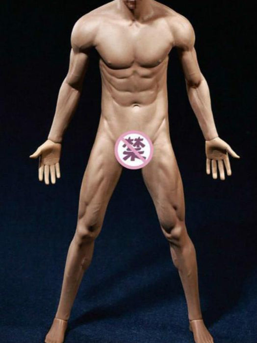In-Stock 1/6 TBLeague Phicen Male Body Collection M30 M31 M32 M33 M34 M35 M36A M36B (Censored)