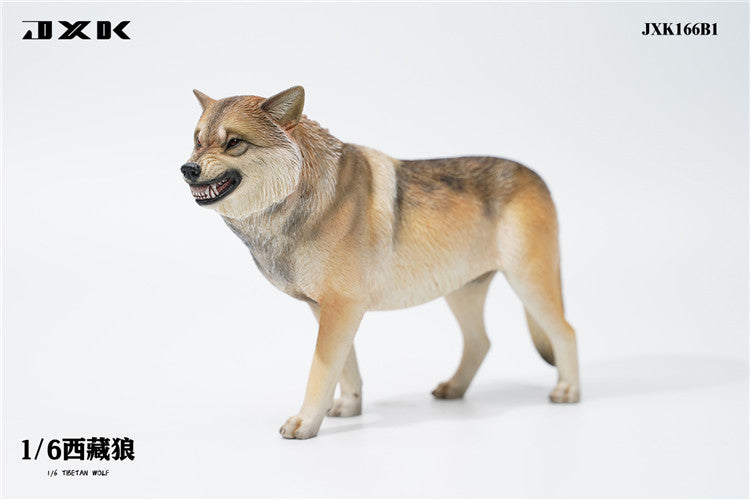 Pre-order 1/6 JXK TOYS JXK166 Tibetan Wolf
