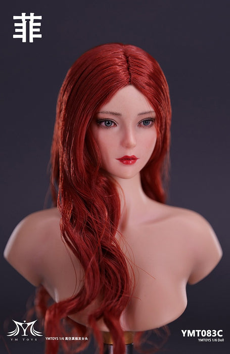 In-stock 1/6 YMTOYS YMT083 "Fei" head sculpt