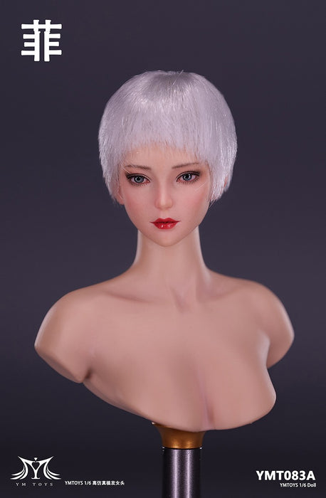 In-stock 1/6 YMTOYS YMT083 "Fei" head sculpt