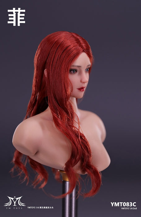 In-stock 1/6 YMTOYS YMT083 "Fei" head sculpt