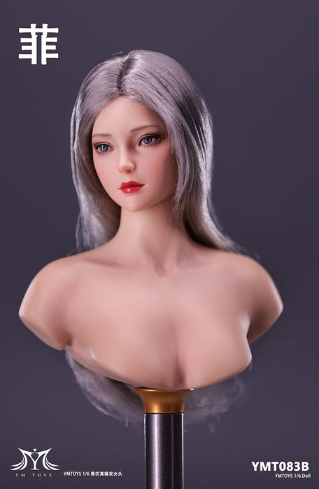 In-stock 1/6 YMTOYS YMT083 "Fei" head sculpt