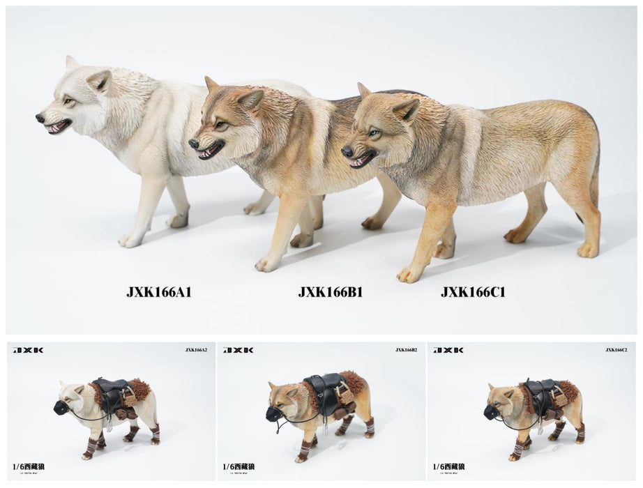 Pre-order 1/6 JXK TOYS JXK166 Tibetan Wolf