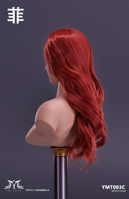 In-stock 1/6 YMTOYS YMT083 "Fei" head sculpt