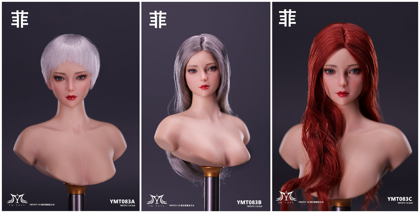In-stock 1/6 YMTOYS YMT083 "Fei" head sculpt