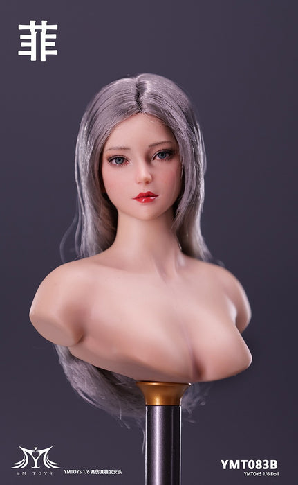 In-stock 1/6 YMTOYS YMT083 "Fei" head sculpt