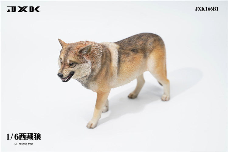 Pre-order 1/6 JXK TOYS JXK166 Tibetan Wolf