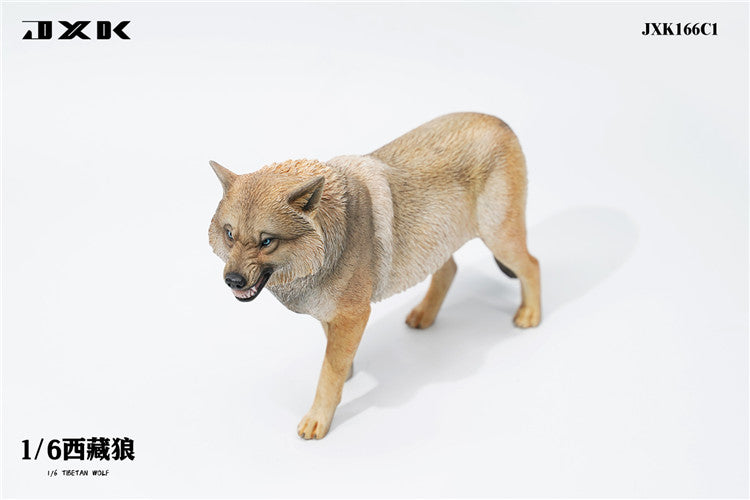 Pre-order 1/6 JXK TOYS JXK166 Tibetan Wolf