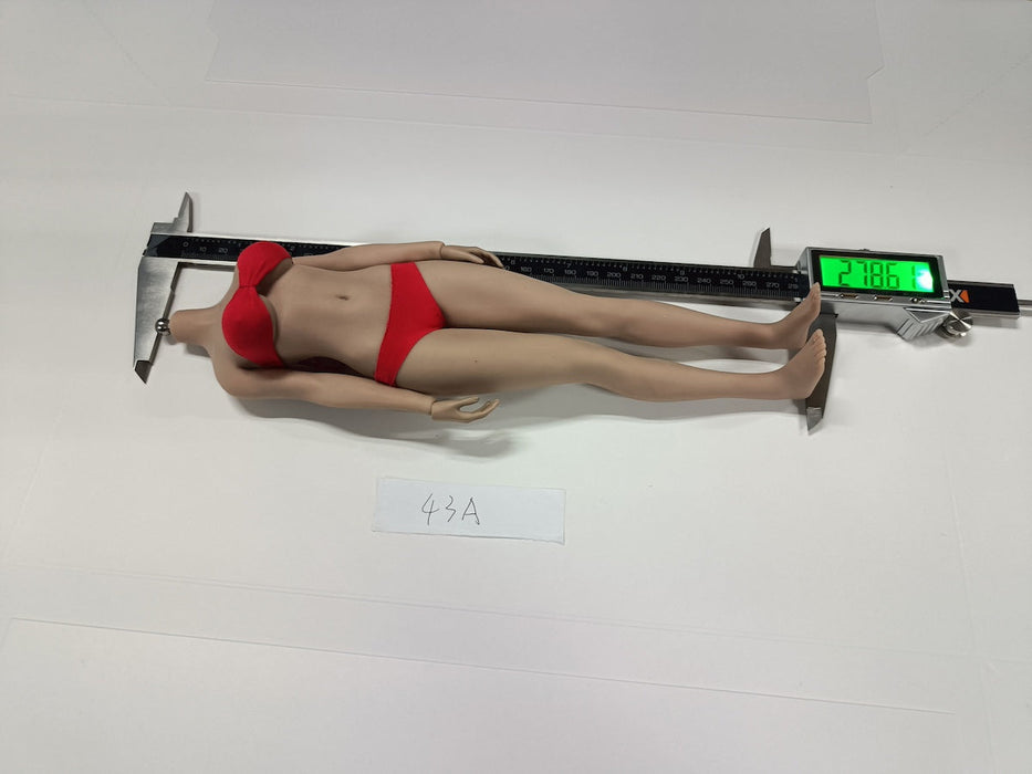 In-stock 1/6 TBLeague European Female Seamless Body Undetachable Feet S42A S43A (Censored)